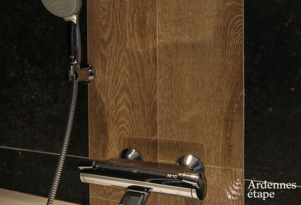 Holiday cottage in Paliseul for 6/7 persons in the Ardennes