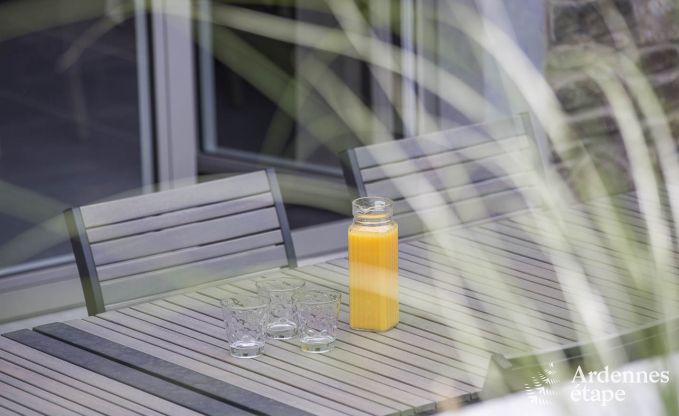 Holiday cottage in Paliseul for 12 persons in the Ardennes