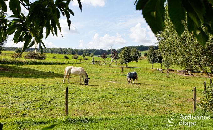 Holiday on a farm in Plombires for 6 persons in the Ardennes