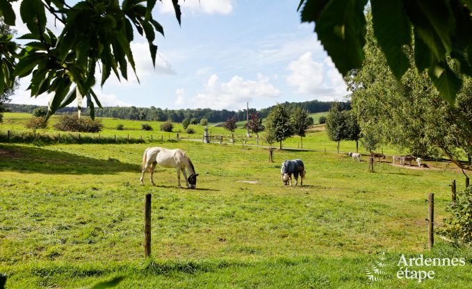 Holiday on a farm in Plombires for 7 persons in the Ardennes