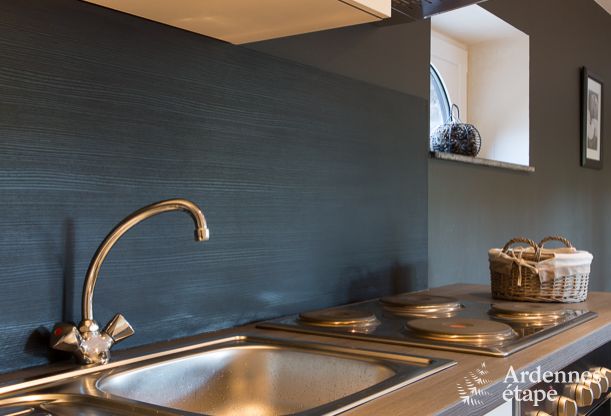 Holiday on a farm in Plombires for 6 persons in the Ardennes