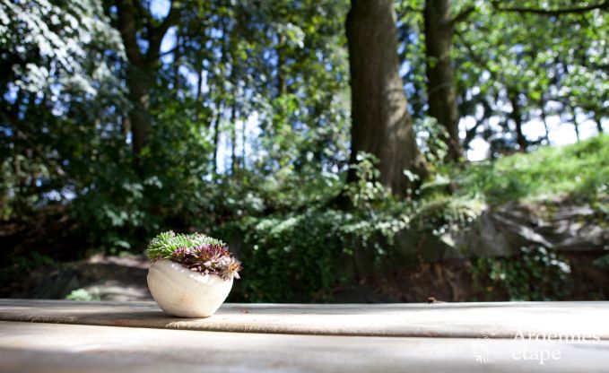 Holiday on a farm in Plombires for 6 persons in the Ardennes