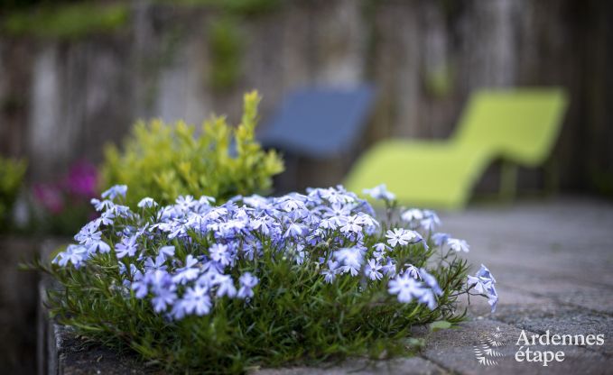 Very pleasant holiday cottage with sauna and jacuzzi in Profondeville for 5 persons in the Ardennes