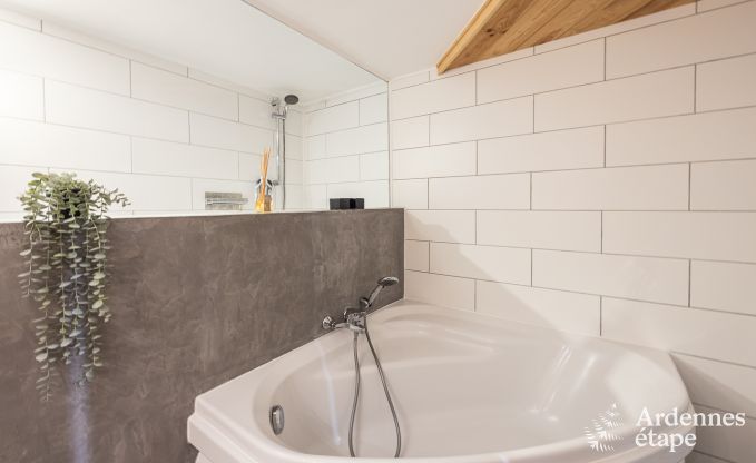 High-quality house with outdoor wellness in the heart of the Meuse Valley in Profondeville