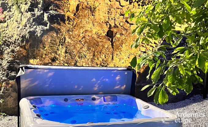 Exceptional charming holiday home in Profondeville for 4 people with jacuzzi, infrared cabin and pontoon on the Meuse