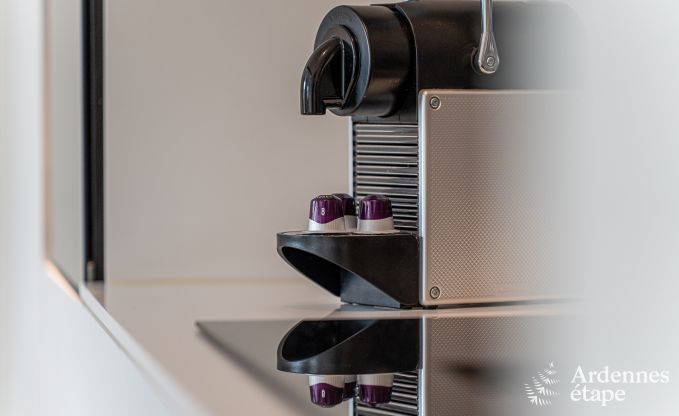 Exceptional charming holiday home in Profondeville for 4 people with jacuzzi, infrared cabin and pontoon on the Meuse