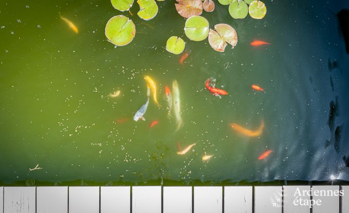 Holiday cottage in Profondeville for 8/9 persons in the Ardennes