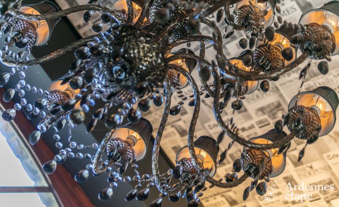 High-end villa in Redu, Ardennes, 9 people, outdoor pool, sauna, steam room, indoor and outdoor jacuzzi, private garden, complete equipment