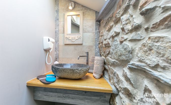 High-end villa in Redu, Ardennes, 9 people, outdoor pool, sauna, steam room, indoor and outdoor jacuzzi, private garden, complete equipment