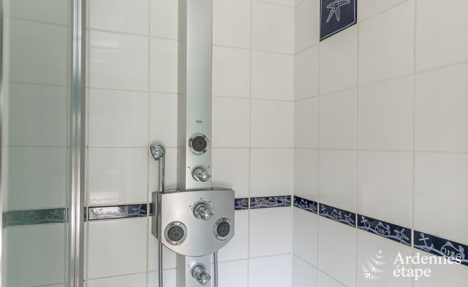 High-end villa in Redu, Ardennes, 9 people, outdoor pool, sauna, steam room, indoor and outdoor jacuzzi, private garden, complete equipment