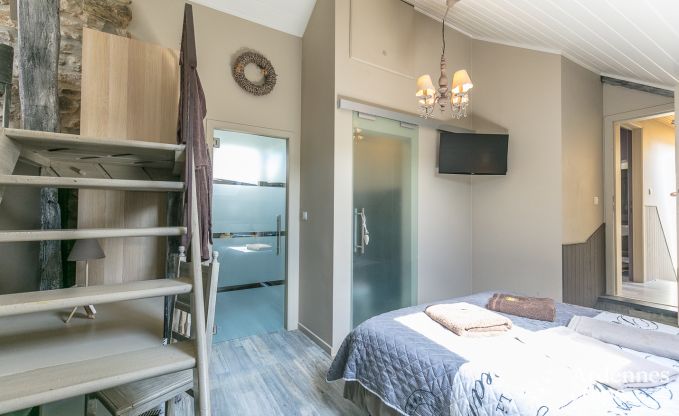 High-end villa in Redu, Ardennes, 9 people, outdoor pool, sauna, steam room, indoor and outdoor jacuzzi, private garden, complete equipment