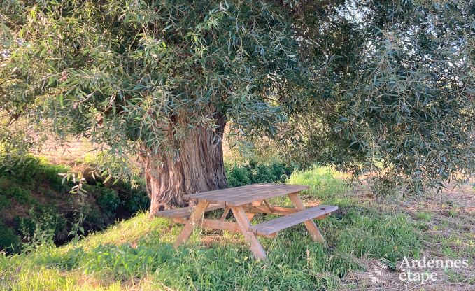 Holiday cottage in Remicourt for 5 persons in the Ardennes