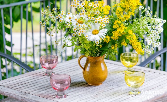 Holiday home in Rendeux, Ardennes, 6 people, 2 bedrooms, private garden, baby equipment, terrace with barbecue