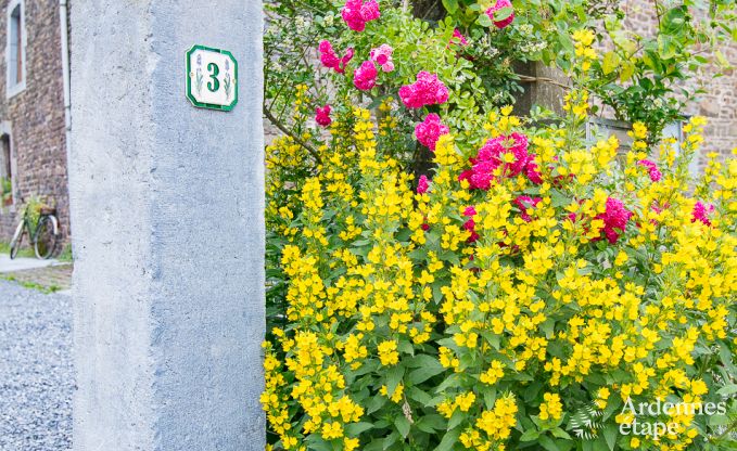 Holiday home in Rendeux, Ardennes, 6 people, 2 bedrooms, private garden, baby equipment, terrace with barbecue