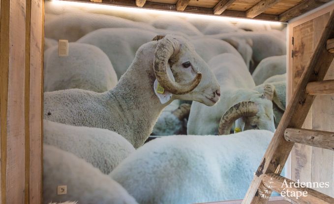 Holiday cottage in Robertville for 9 persons in the Ardennes