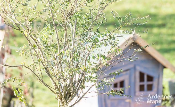 Holiday cottage in Robertville for 9 persons in the Ardennes