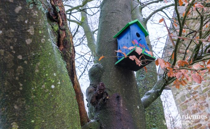 Holiday cottage in Robertville for 14 persons in the Ardennes
