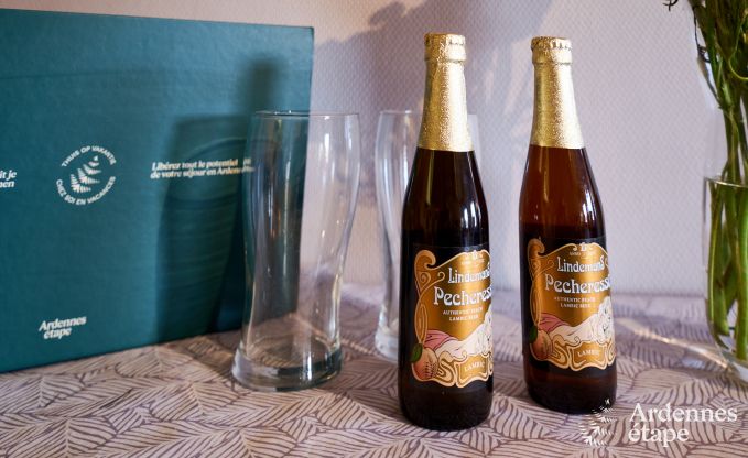 Holiday cottage in Rochefort for 12/14 persons in the Ardennes