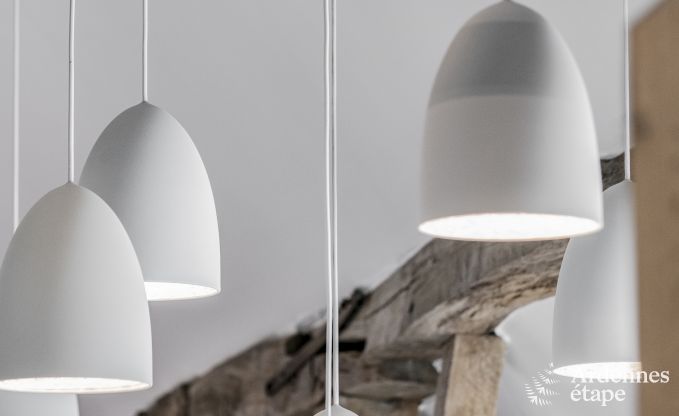 Holiday cottage in Rochefort for 10 persons in the Ardennes