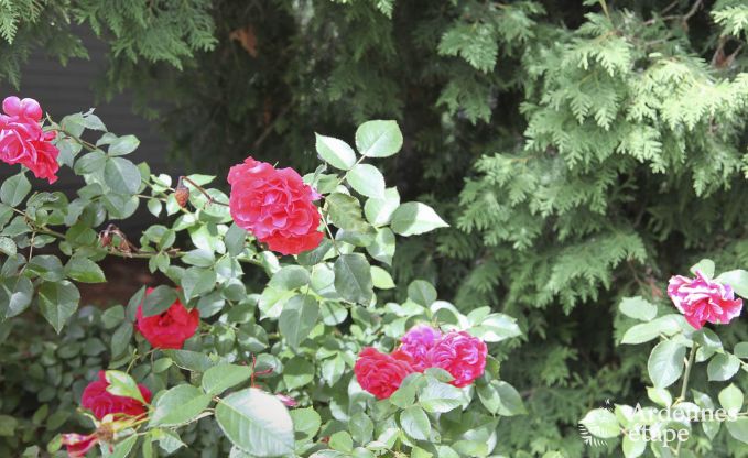 Holiday cottage in Rochefort for 7 persons in the Ardennes