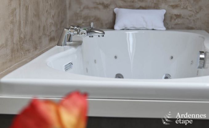 Tranquil group accommodation with bubble bath to rent in Saint-Hubert
