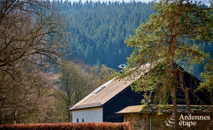 Charming holiday home in Saint-Vith for 6 people with sauna, private garden and open fireplace