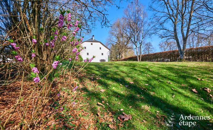 Charming holiday home in Saint-Vith for 6 people with sauna, private garden and open fireplace