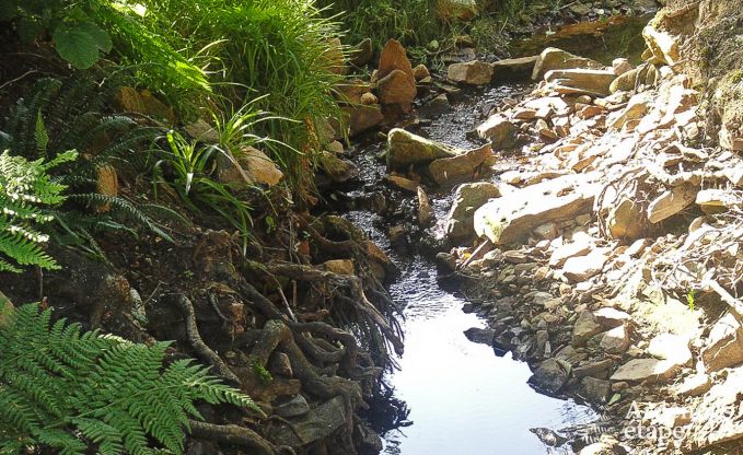 Holiday cottage in Sainte-Ode for 4/6 persons in the Ardennes