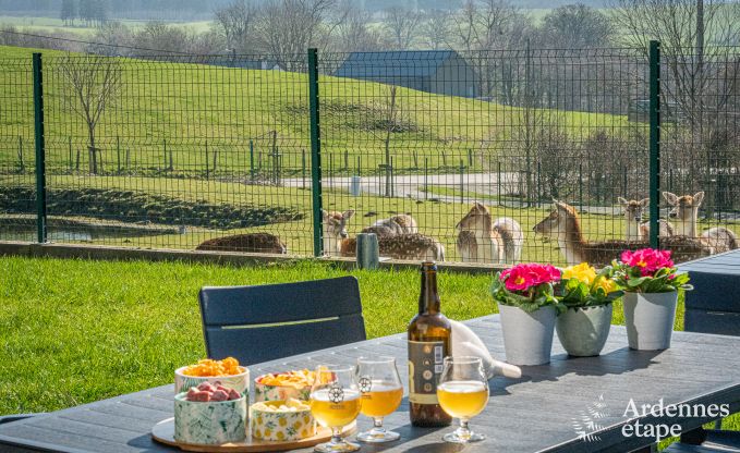 Holiday cottage in Sainte-Ode for 12 persons in the Ardennes