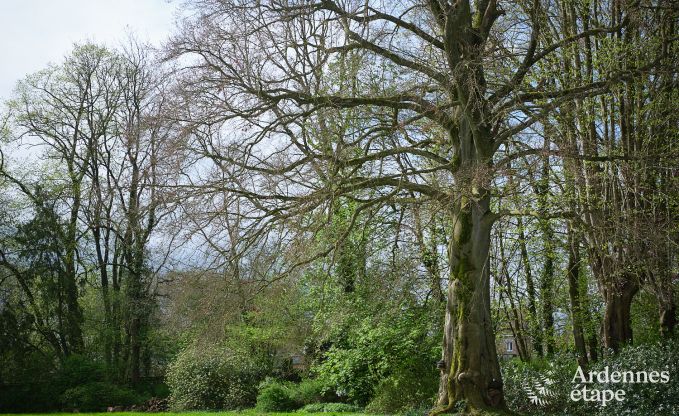 Charming holiday accommodation in the annex of a castle in Sars-la-Bruyre, Ardennes