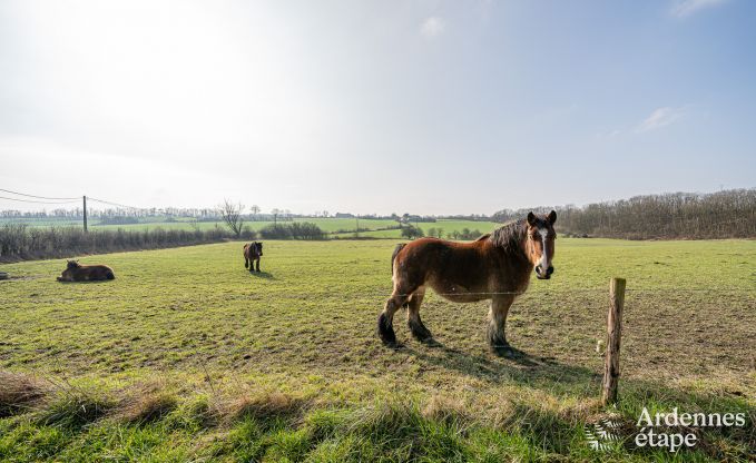 Comfortable holiday home in Somme-Leuze, near Durbuy