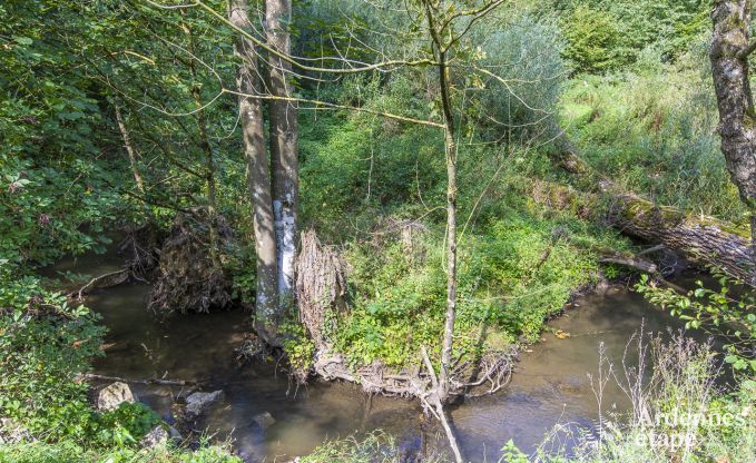 Holiday cottage in Somme-Leuze for 4 persons in the Ardennes