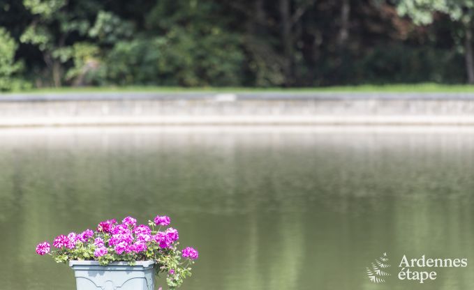 Holiday cottage in Somme-Leuze for 4 persons in the Ardennes