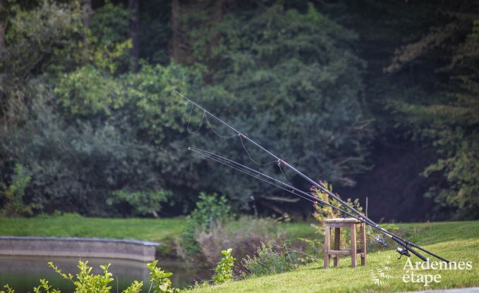 Holiday cottage in Somme-Leuze for 4 persons in the Ardennes