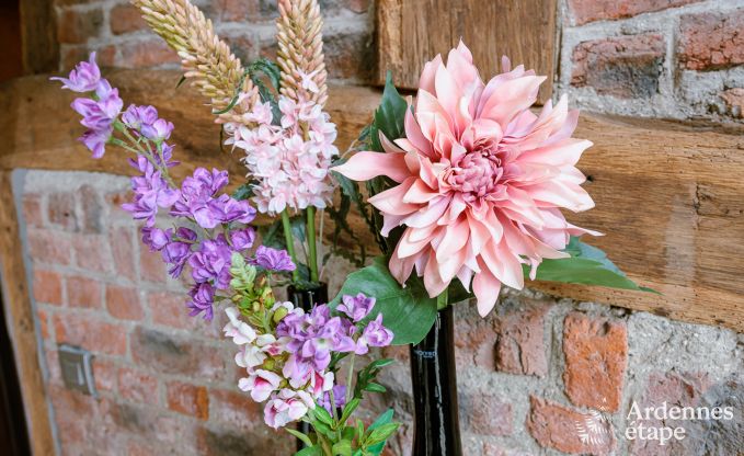 Holiday cottage in Somme-Leuze for 4 persons in the Ardennes