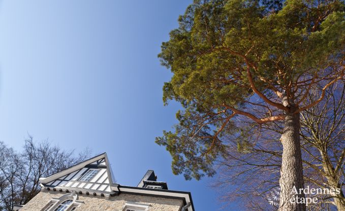 Castle in Spa for 9 persons in the Ardennes