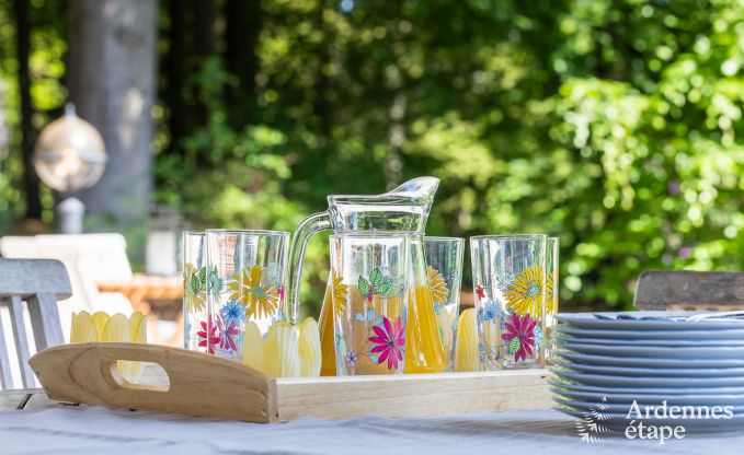 Castle in Spa for 9 persons in the Ardennes