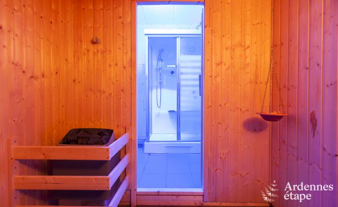 Luxurious holiday home for 12 people with wellness area in Spa