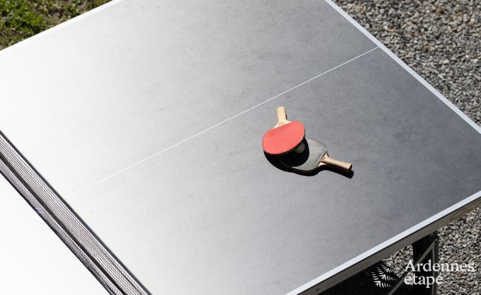 Castle in Spa for 9 persons in the Ardennes