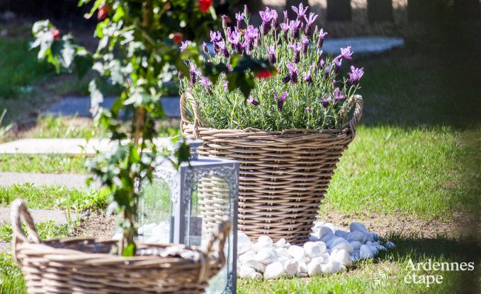 Holiday cottage in Spa for 2/3 persons in the Ardennes