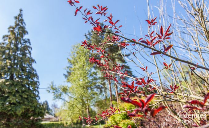 Holiday cottage in Spa for 2/3 persons in the Ardennes