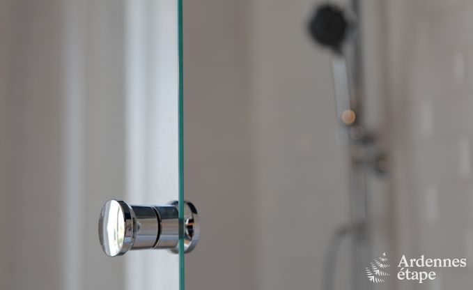 Luxury villa in Spa for 9 persons in the Ardennes