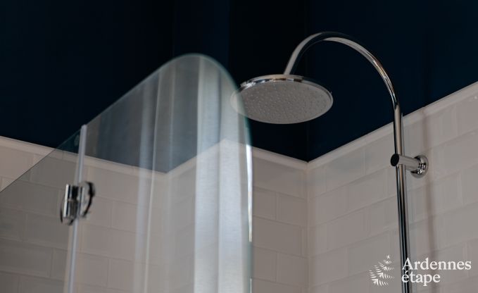 Luxury villa in Spa for 9 persons in the Ardennes