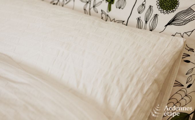 Luxury villa in Spa for 9 persons in the Ardennes