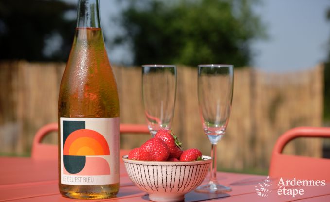 Tiny house with wood stove and private garden in Sprimont, High Fens