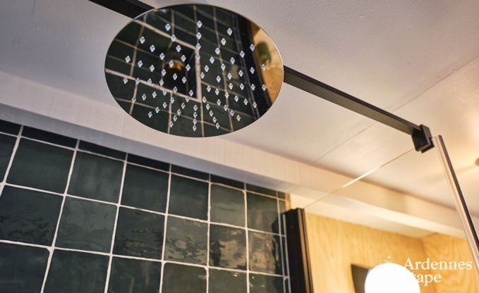 Tiny house with wood stove and private garden in Sprimont, High Fens