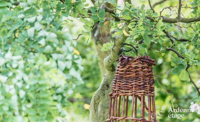 Holiday cottage in Sprimont for 2/4 persons in the Ardennes