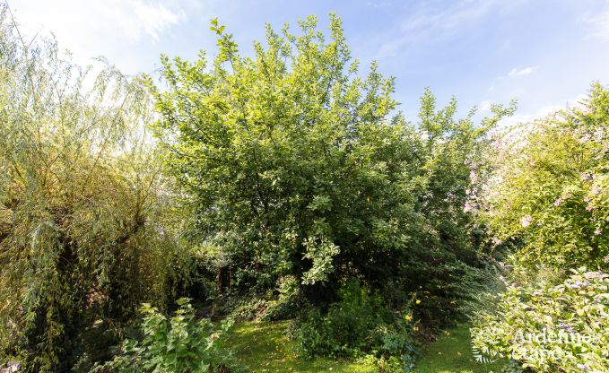 Holiday cottage in Sprimont for 2/4 persons in the Ardennes