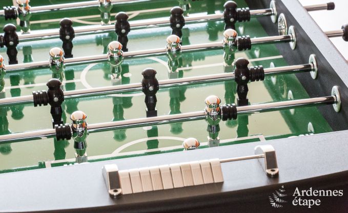 Luxury villa in St Vith for 14 persons in the Ardennes