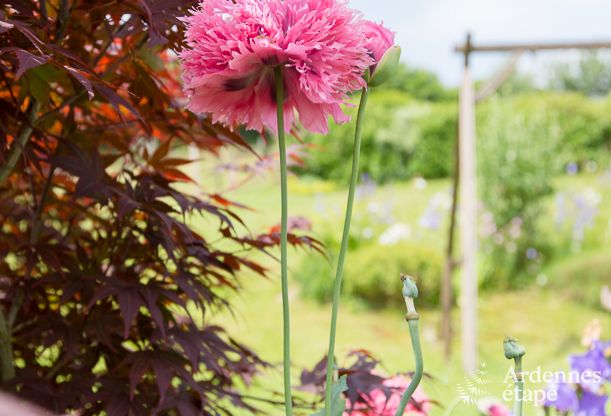 Chalet in Stavelot for 2 persons in the Ardennes